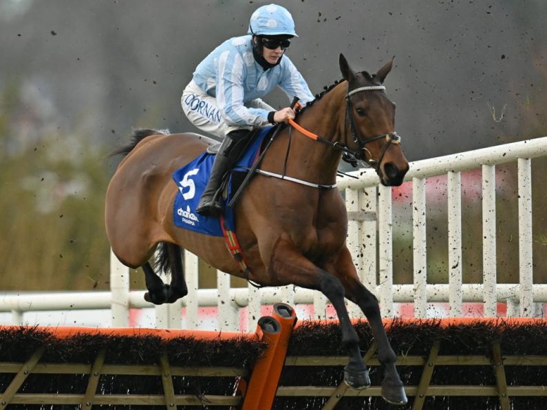 De Bromhead confirms Honeysuckle bid for third Champion Hurdle