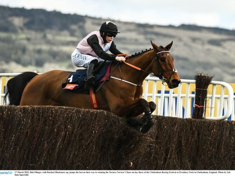 Resurgent Bob Olinger a new rival for top hurdler State Man at Leopardstown on Sunday