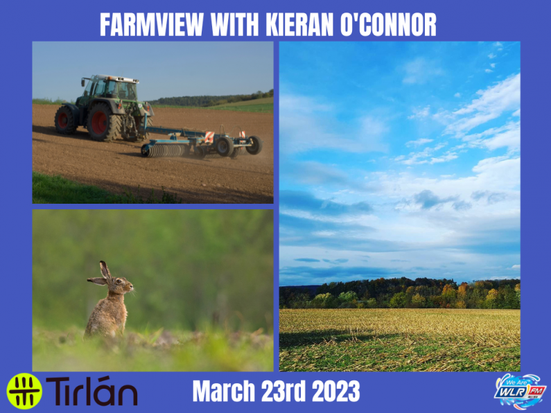 Listen Back: Farmview March 23rd 2023