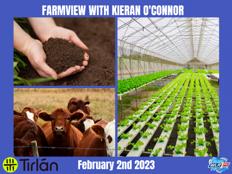 Listen Back: Farmview February 2nd 2023