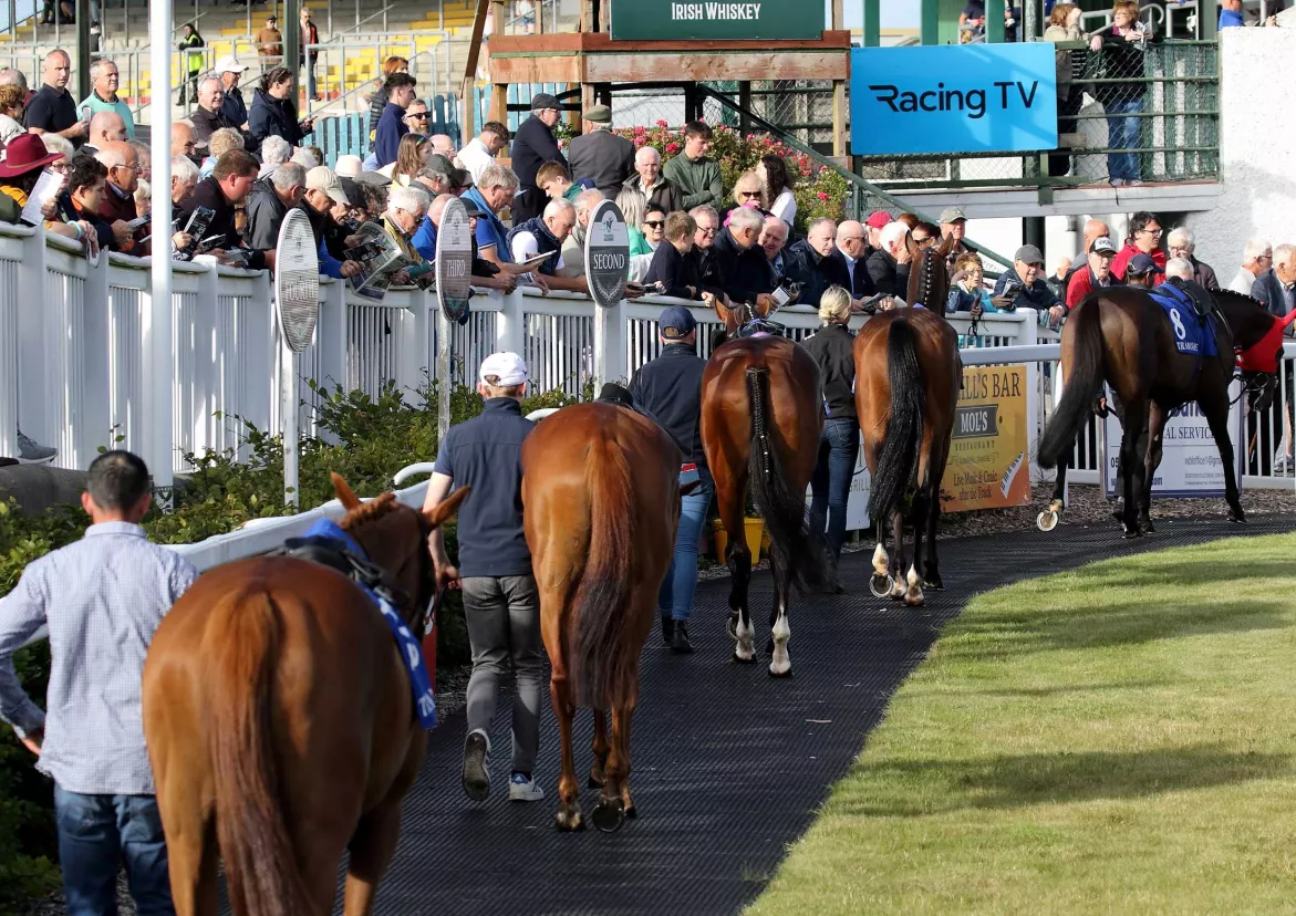 Tramore Racing Festival, Photo: Noel Browne