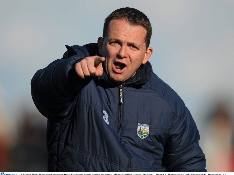 Davy Fitzgerald appointed as Waterford manager