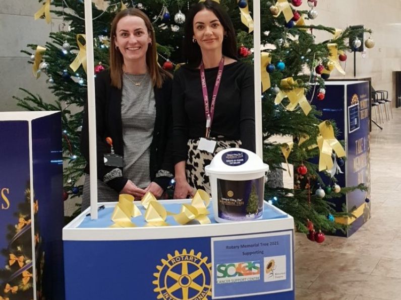 Waterford Rotary Club's Christmas memorial trees