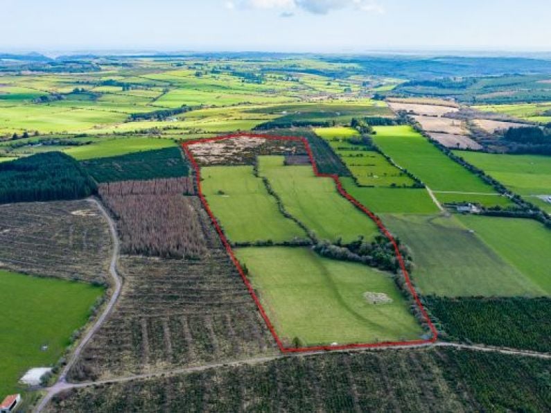 57-acre farm goes up for sale on Waterford-Cork border