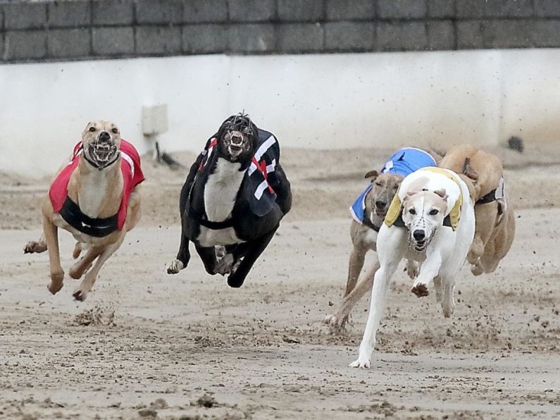 Thrilling finish to Munster Oaks Final