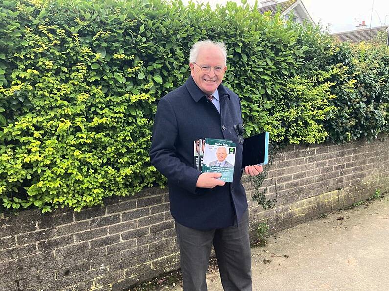 General Election 2024: WLR joins John D Walsh of The Irish People on canvass trail