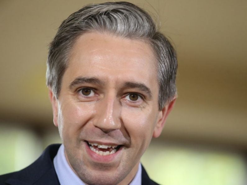 Poll shows rise in support for Fine Gael and Simon Harris