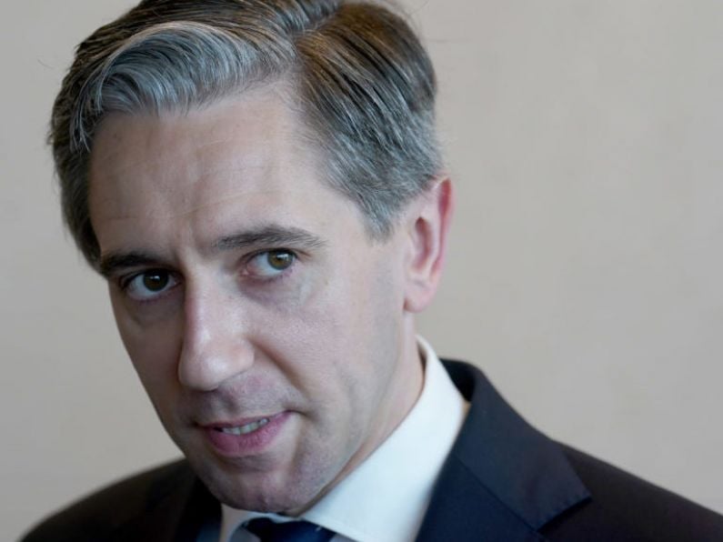 Budget 2025: Harris says jobseekers’ payment should not rise with other allowances