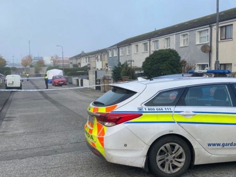 Man who died in Carlow assault named locally